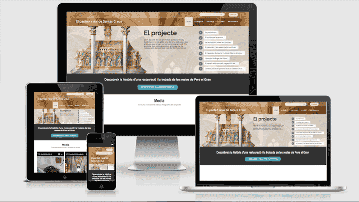 Projectes Online